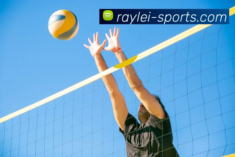 雷竞技(RAY)官方授权体育信息服务中心服务体系